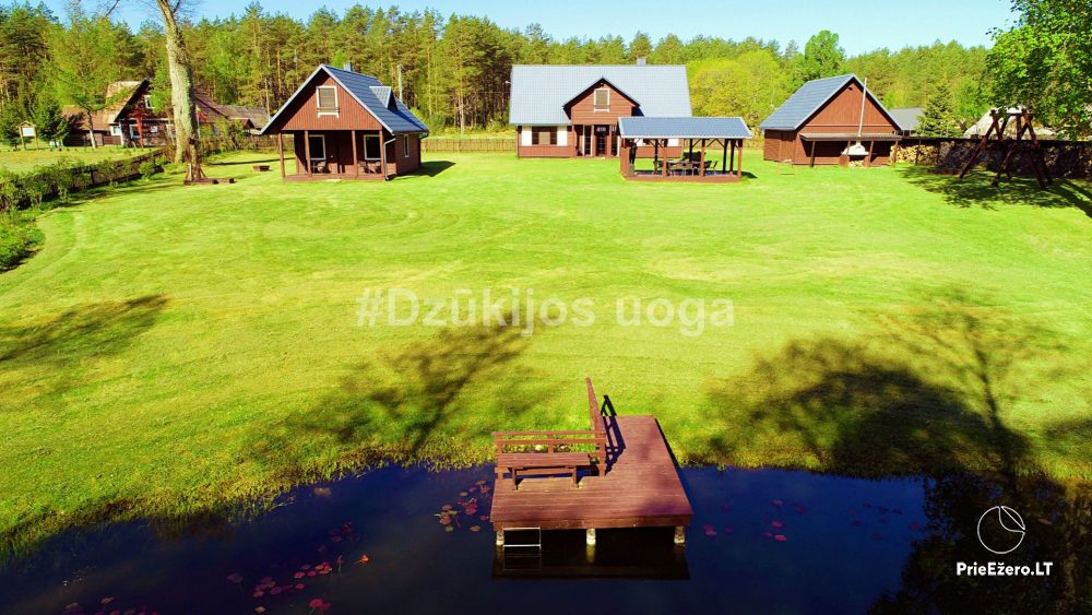 Dzūkijos uoga - 1