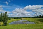 Pirtis Anykščių rajone - 6