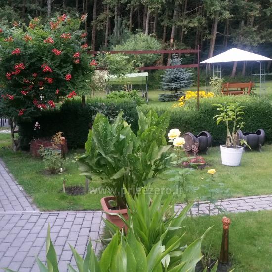 Ventė Šturmų sodyba - poilsio namelis, apartamentai, kavinė
