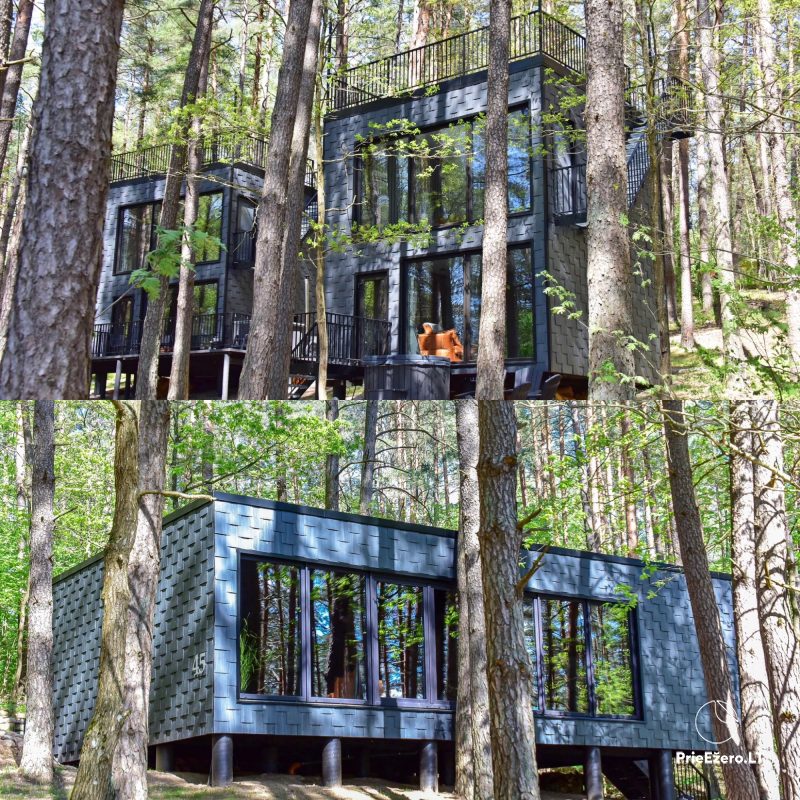 Premium Forest Bungalows - namelių nuoma Molėtų rajone