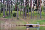 Beautiful Villa for Family/Couples - 5