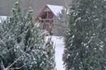 Sodybos nuoma Trakų rajone „Šalia Verknės“ - 2