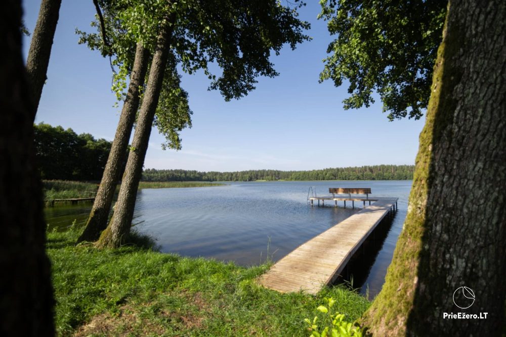 20m pakrantės su lieptu žvejybai nuoma šalia Druskininkų - Latezerio ežere - 1