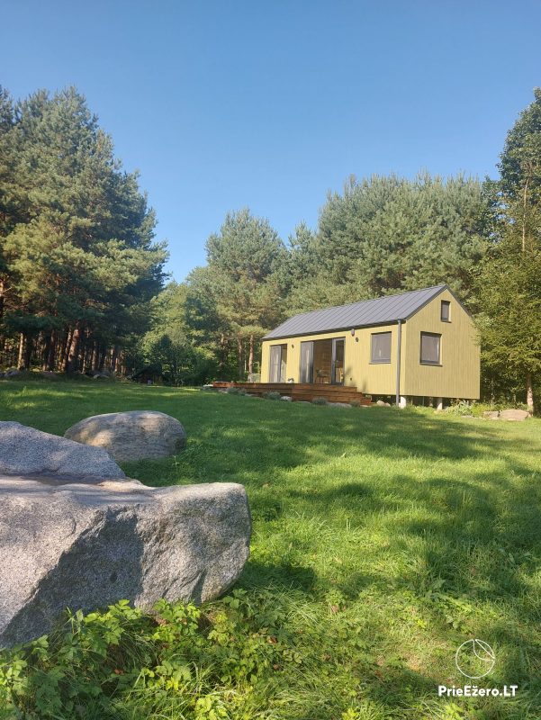 Sodyba Basomis prie Ilgio ežero, miške