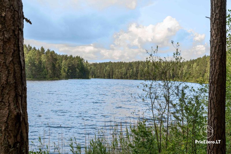 Pirties, kambarių, apartamentų, stovyklaviečių nuoma | Poilsio kompleksas „Tolieja“