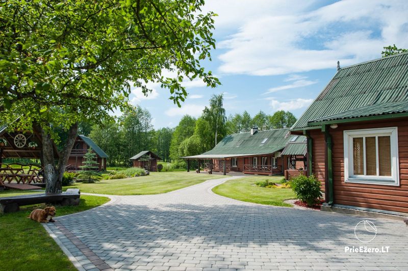 Sodyba Alytaus rajone Viktorijos sodyba. Pobūvių salė. Pirtis