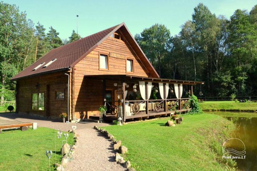 Miško oazė - 1