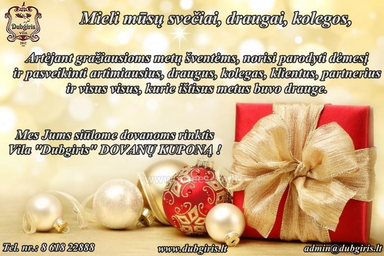 Kalėdinėmis dovanomis pasirūpinkite dabar-Vilos “Dubgiris” dovanų kuponai