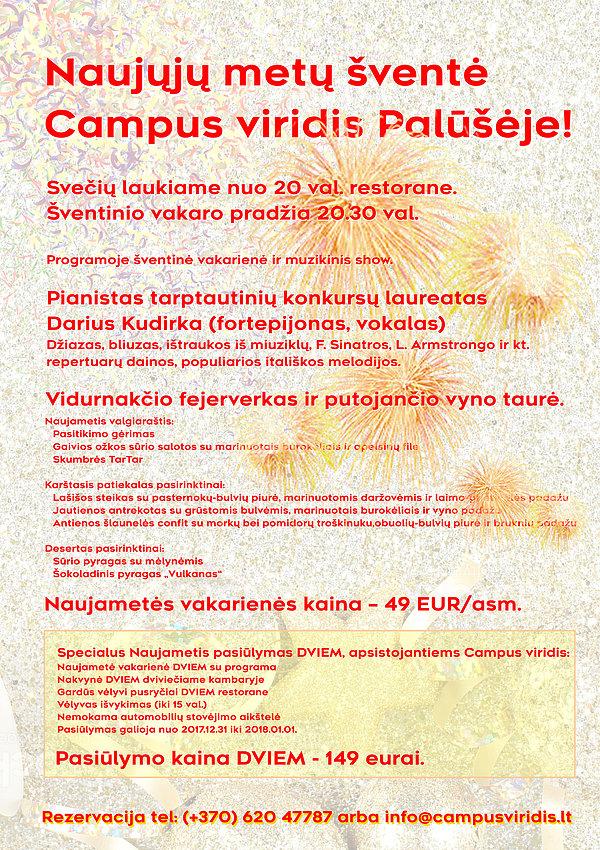 Naujųjų metų šventė Campus viridis Palūšėje - 1