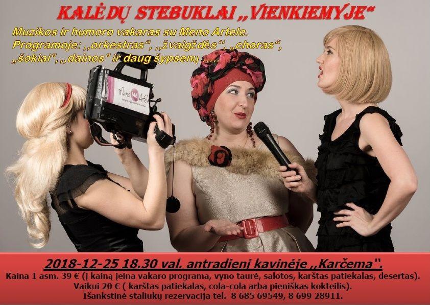 Kalėdų stebuklai Vienkiemyje'' - 1