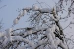 Indijos piliakalnis (arba Pilė, Pilis) ir Pagramančio regioninis parkas - 5