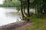 Varnikų pažintinis takas Varnikų botaniniame-zoologiniame draustinyje - 2