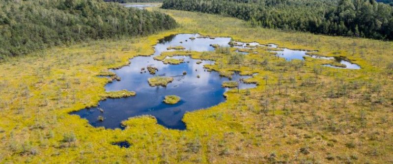 Varnikų pažintinis takas Varnikų botaniniame-zoologiniame draustinyje