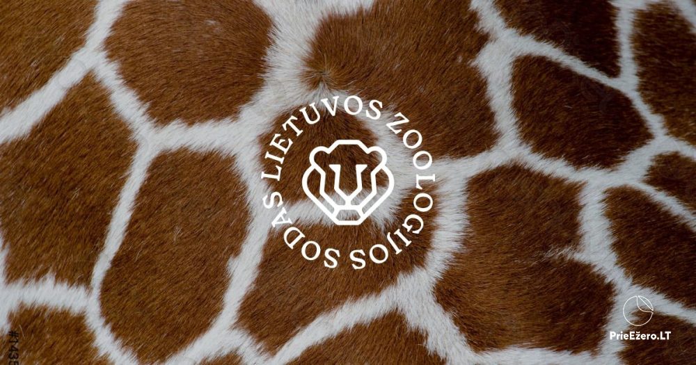 Lietuvos zoologijos sodas Kaune - 1