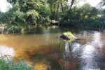Baidarių nuoma Dzūkijoje. Pirtis, Sodyba prie Ūlos upės - 5
