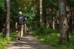 Kulautuva - miestelis Kauno rajone, kurį privalu aplankyti - 5