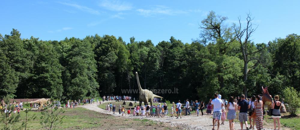 Apverstas namas Radailių dvare - 15