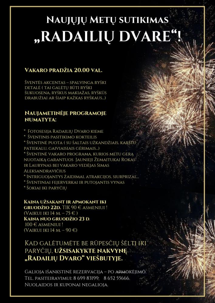 Naujieji metai Radailių dvare - 1