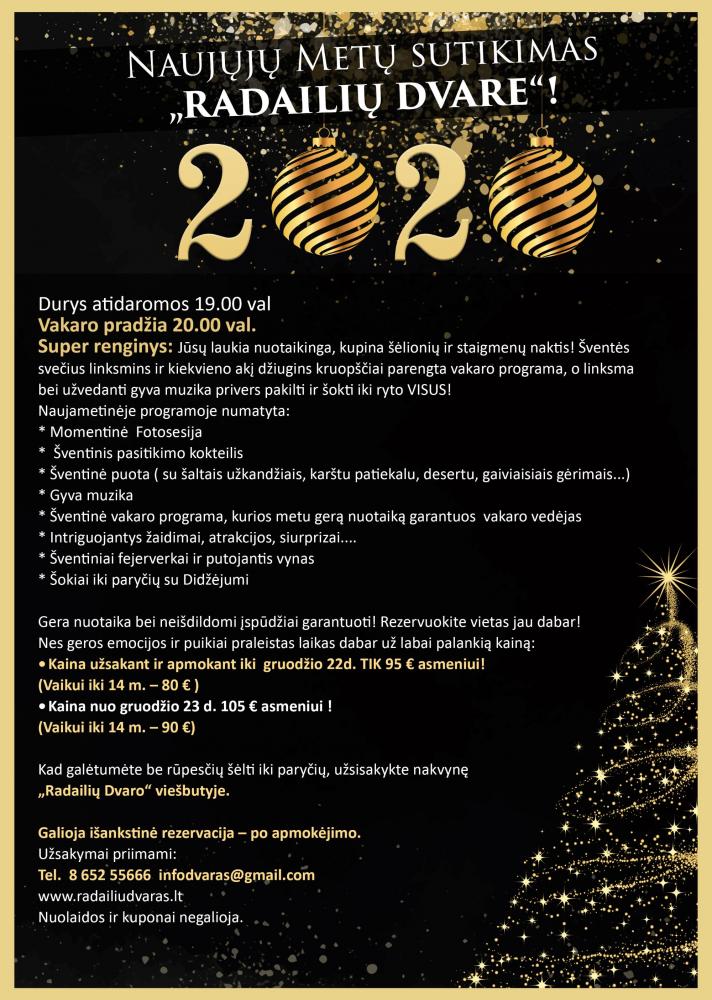 Naujieji metai 2020 Radailiu dvaras - 1