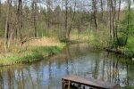 Stovyklavietės nuoma - 5
